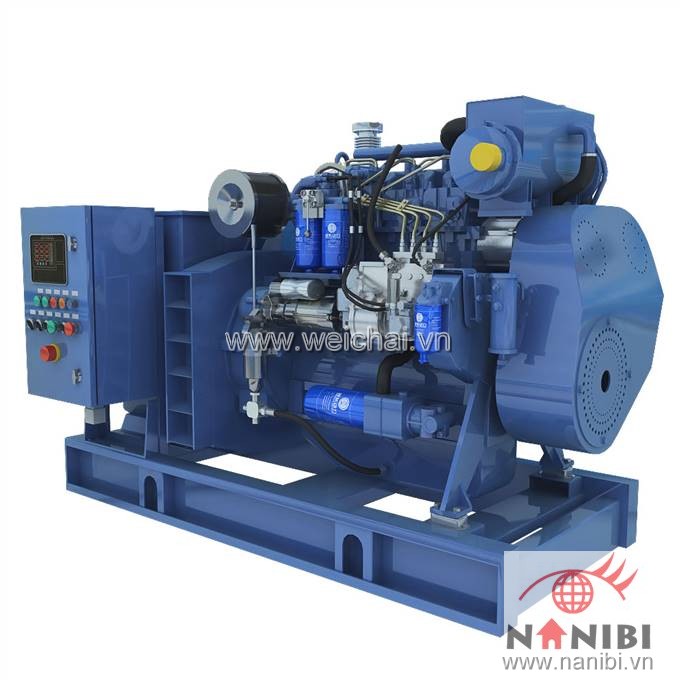 Máy phát điện thủy CCFJ75J-W